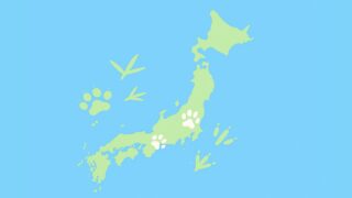 日本動物ニュース