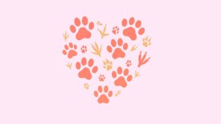 癒し系動物ニュース