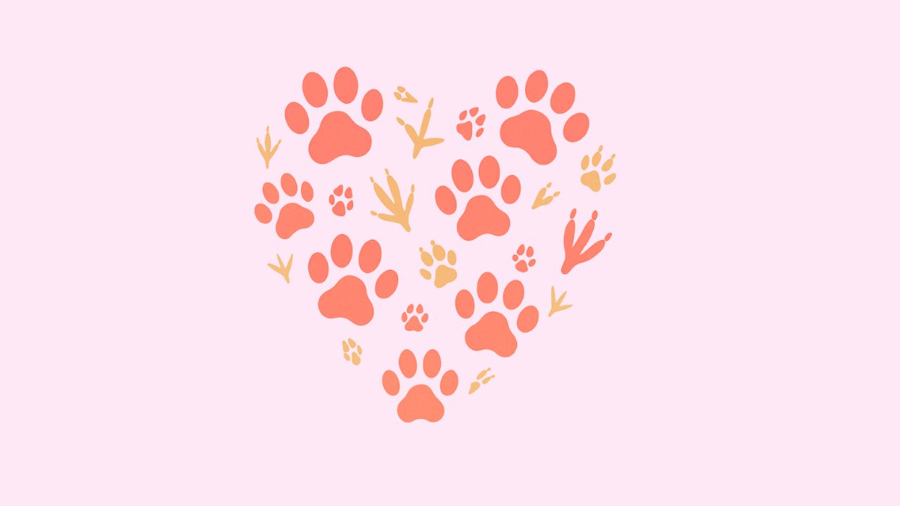 癒し系動物ニュース
